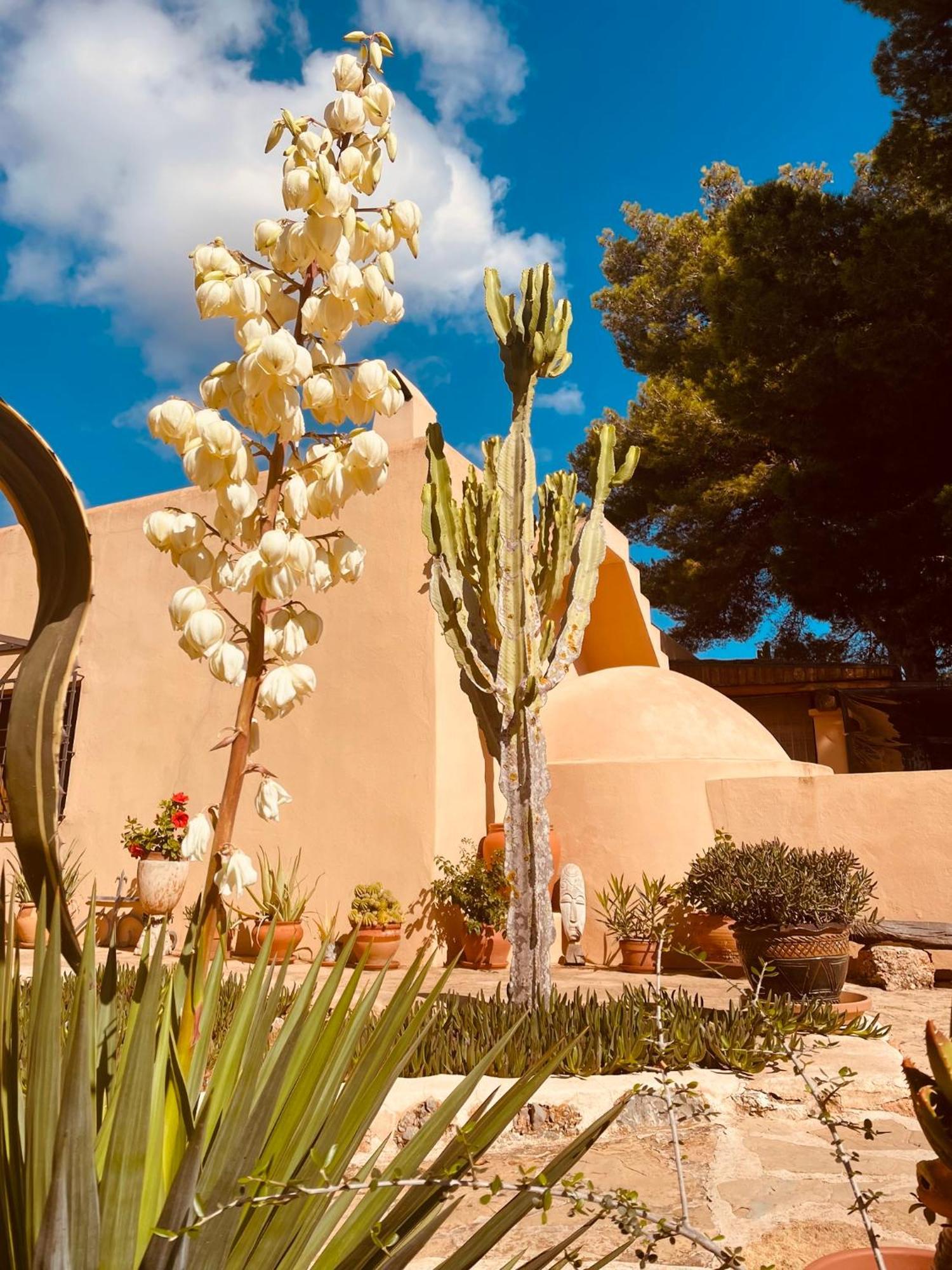 Sant Jordi de ses Salines Finca Can Toni מראה חיצוני תמונה